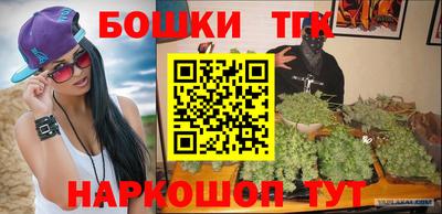 индика Лесосибирск