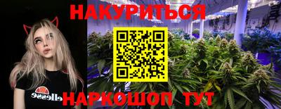 индика Лесосибирск