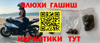 индика Лесосибирск