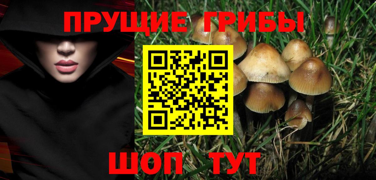 Галлюциногенные грибы MAGIC MUSHROOMS Новодвинск