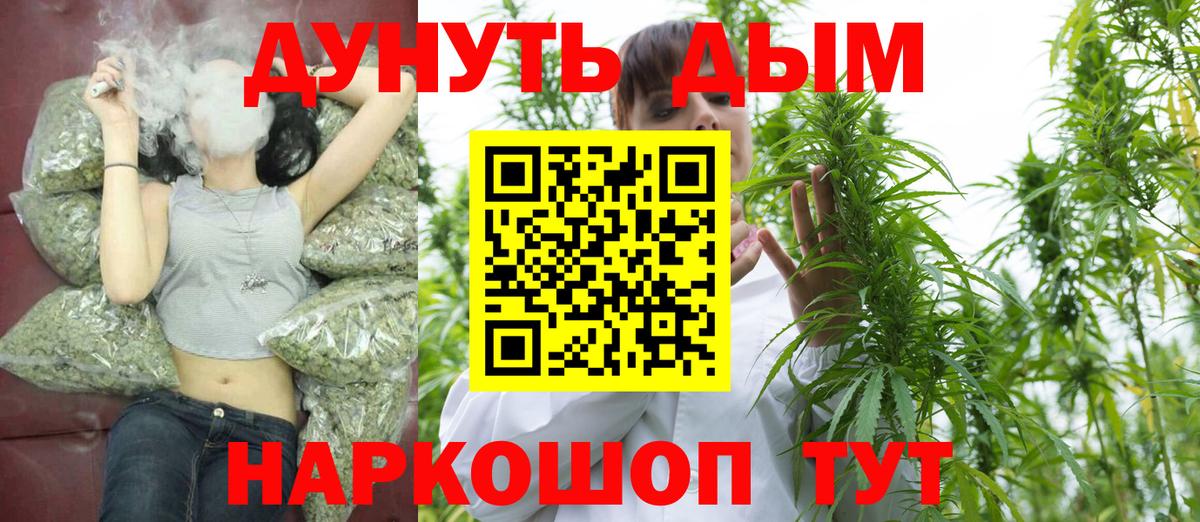 Шишки марихуана семена Новодвинск